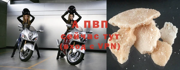 винт Вяземский