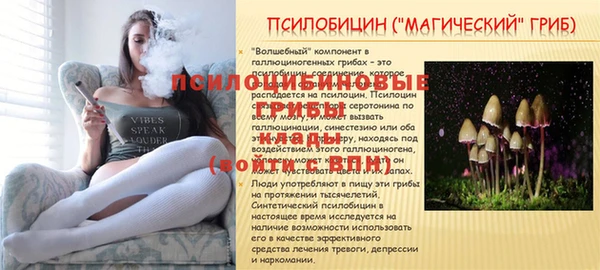 молекула духа Вязьма