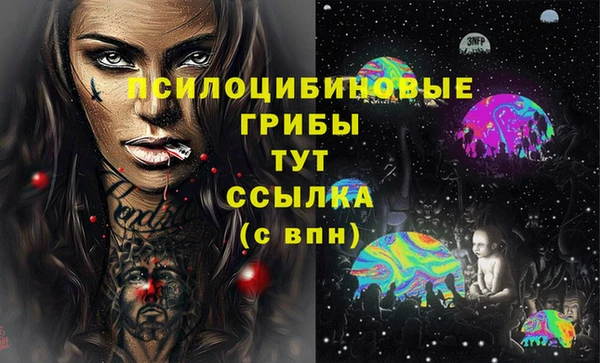 винт Вяземский