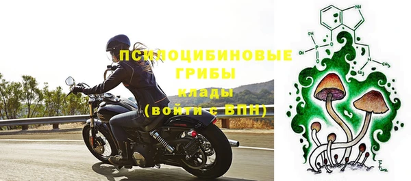 стафф Верхний Тагил