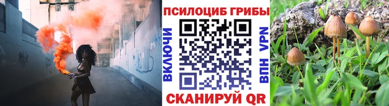 Псилоцибиновые грибы мухоморы  гидра ТОР  Изобильный  где купить наркотик 